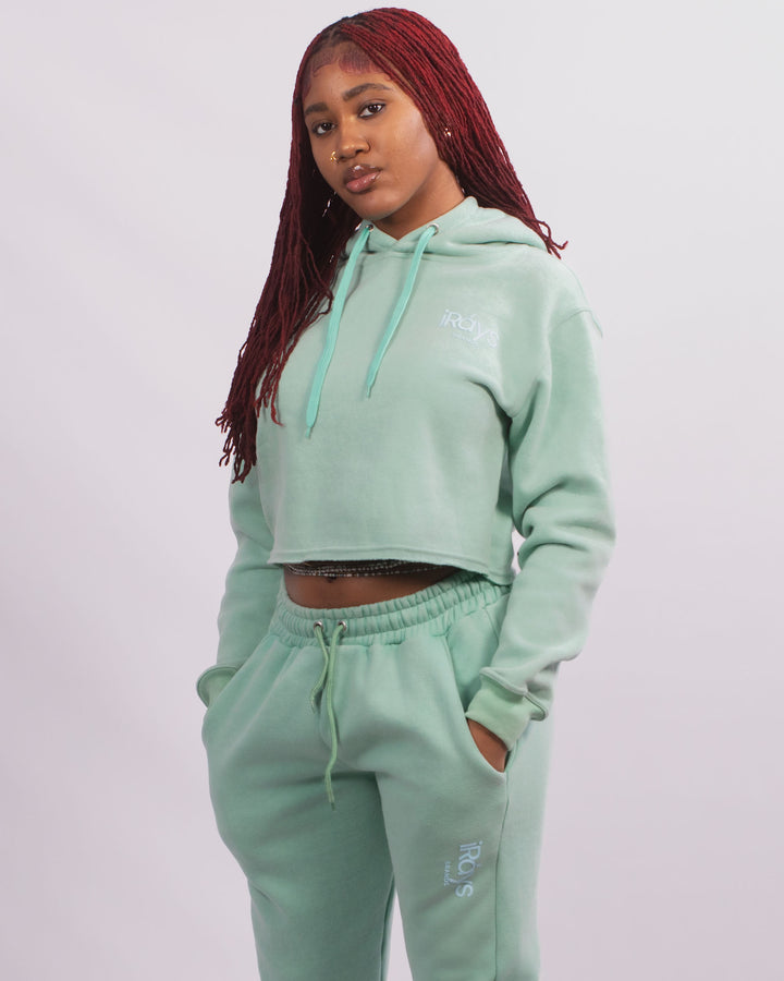 Irays Washed Cropped Hoodie