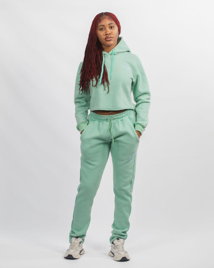 Irays Washed Cropped Hoodie