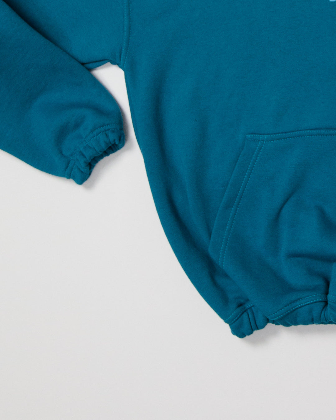 Irays Drawstring Cropped Hoodie